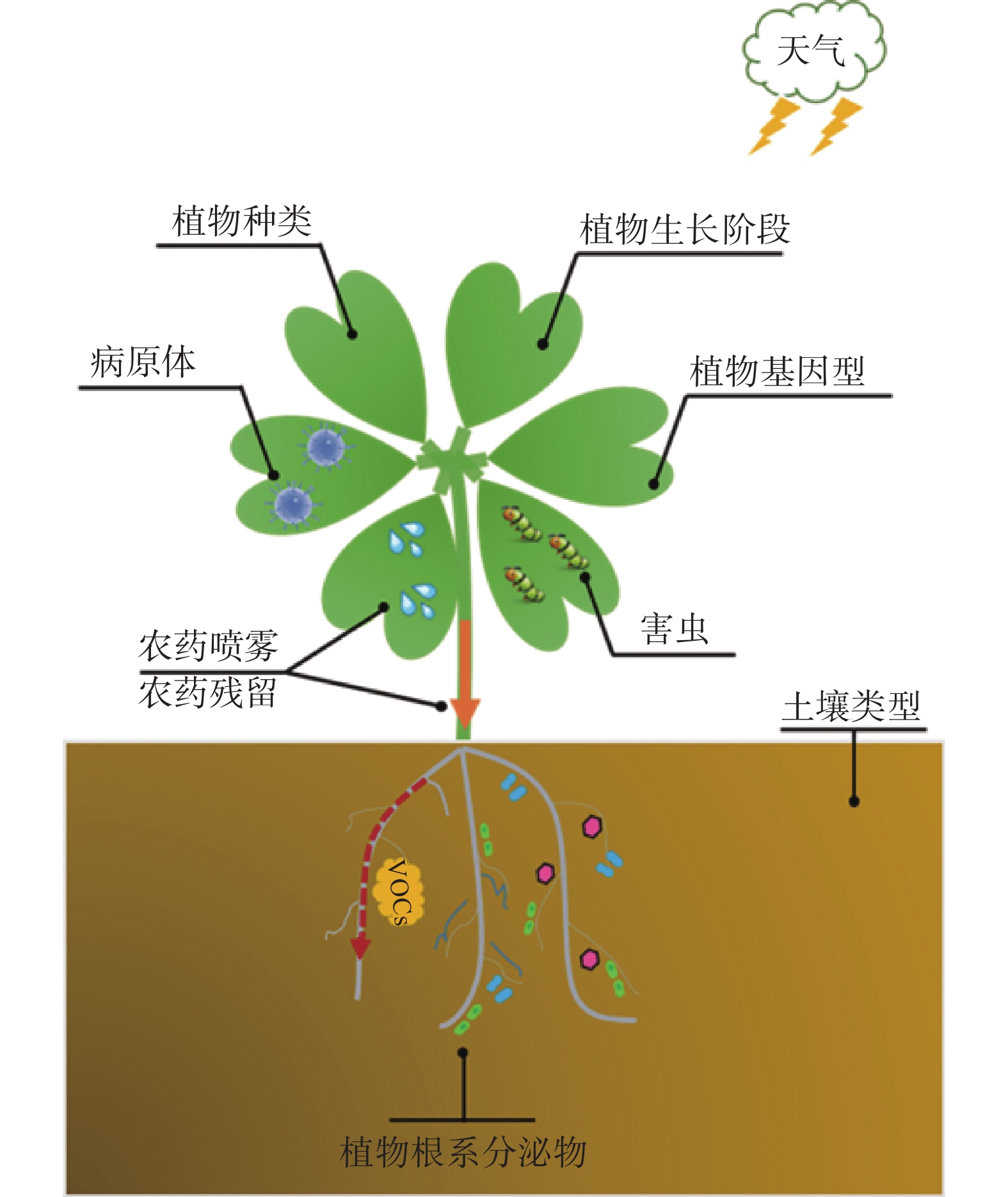 水稻根系图-Nature Biotechnoligy 封面|纯艺术|绘画|寻山追水 - 原创作品 - 站酷 (ZCOOL)
